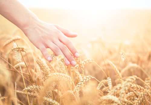 Midlife Crisis, Menopause, Gedächtnisprobleme, Selbstwert im Alter, Sinnkrise